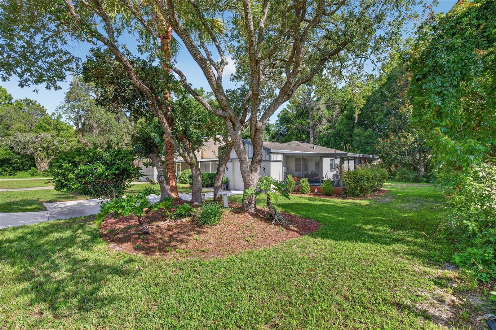12 CHINABERRY CIR