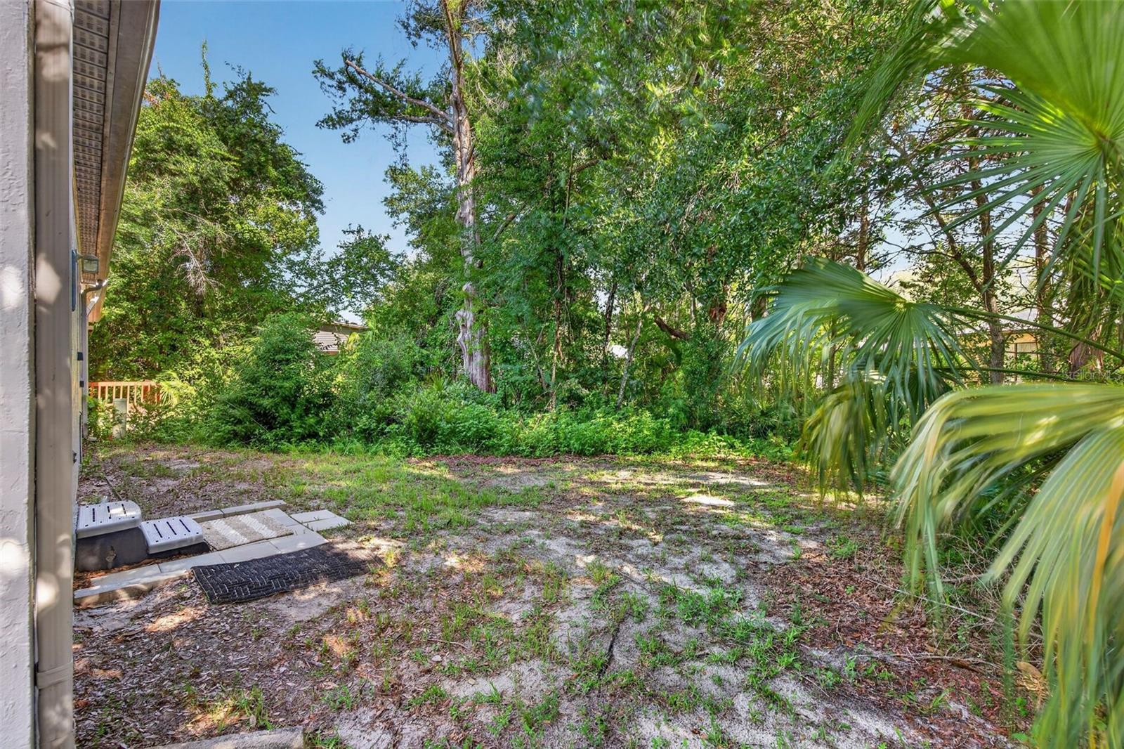 12 CHINABERRY CIR