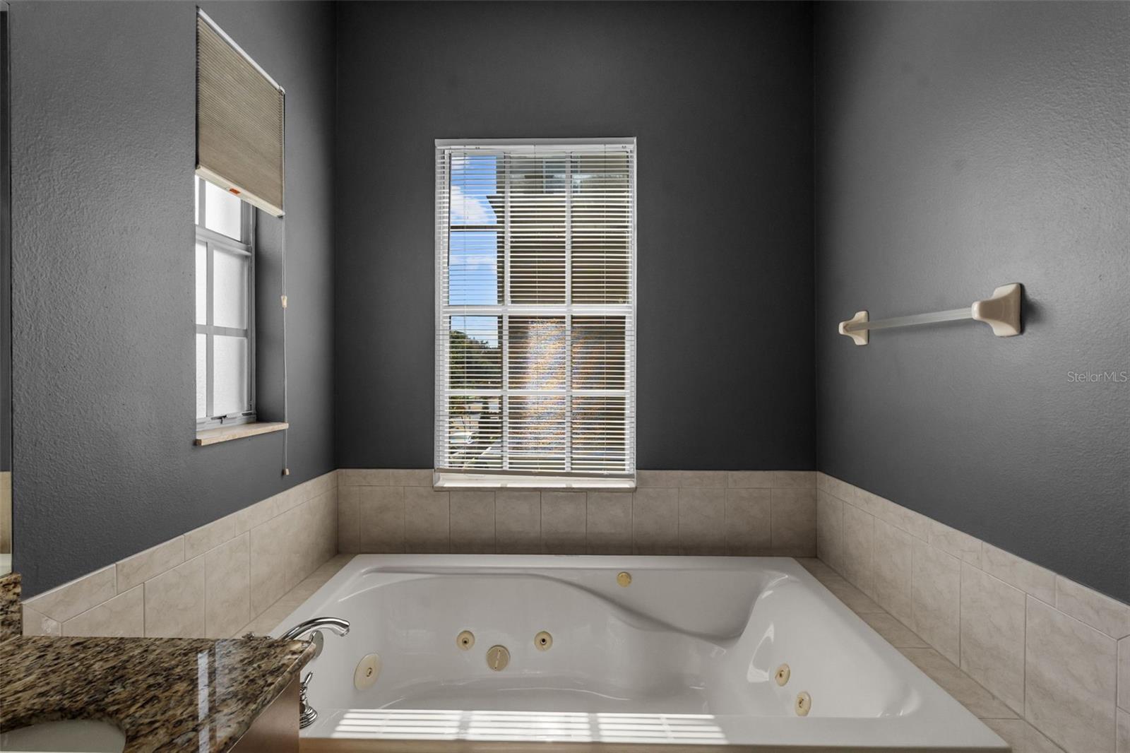 2419 VICTORIA GARDENS LN