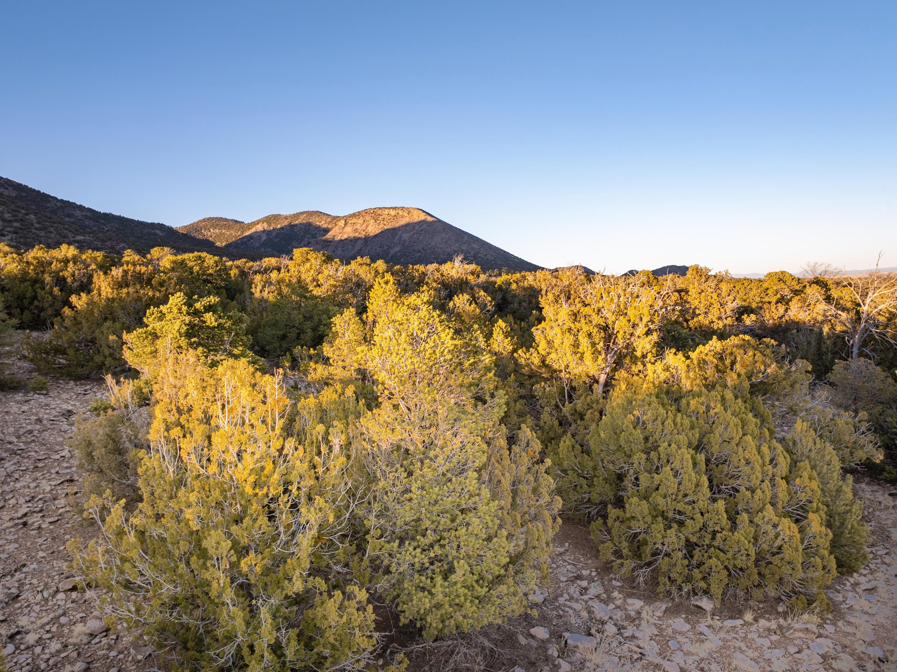 Lot 99 S Mountain Road