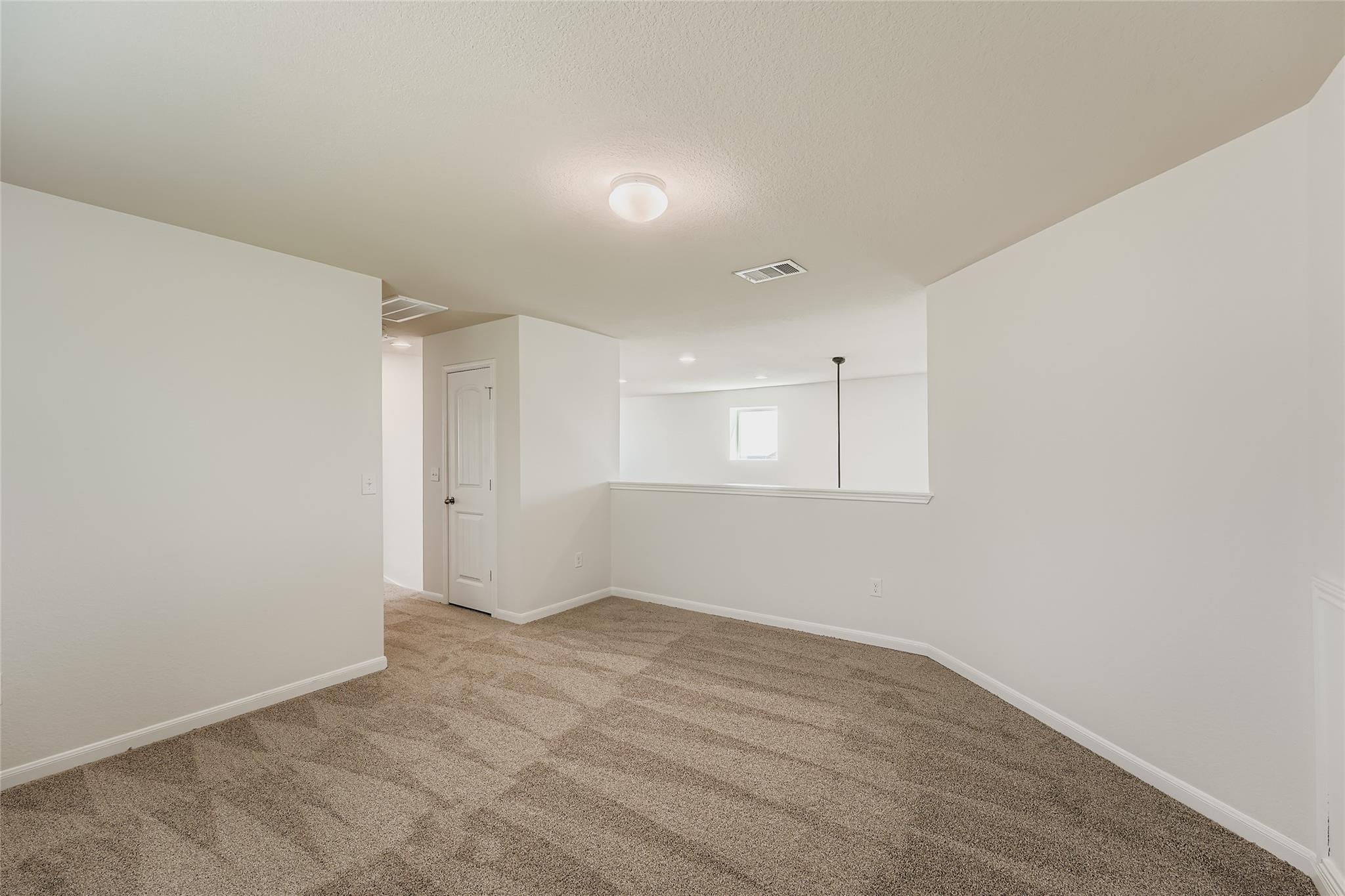 15109 Shell Bark CV