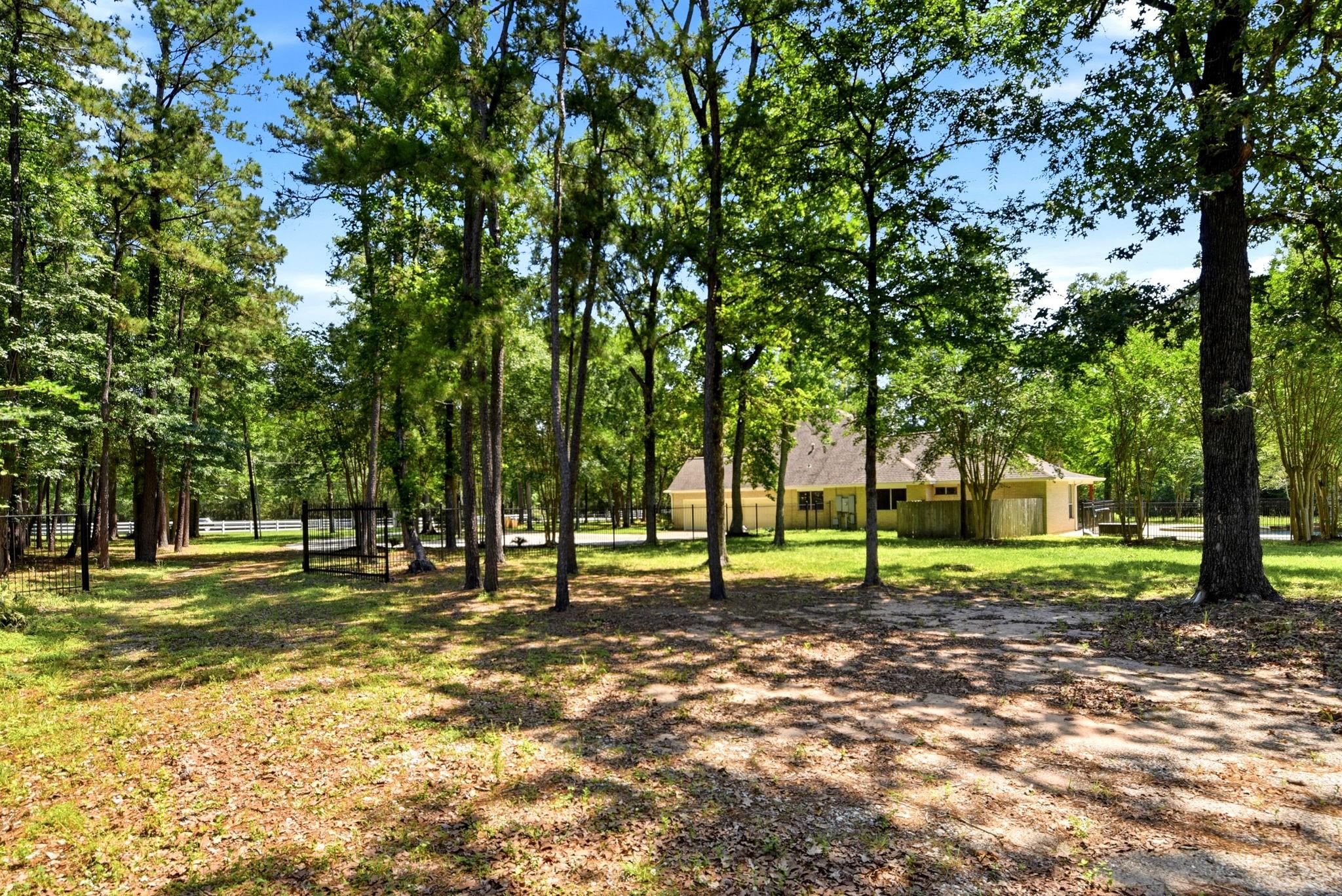 10965 Lake Forest Drive