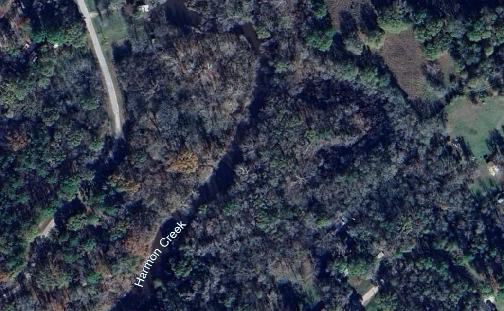 Aerial view of wooded property along Harmon Creek, with a winding access road.