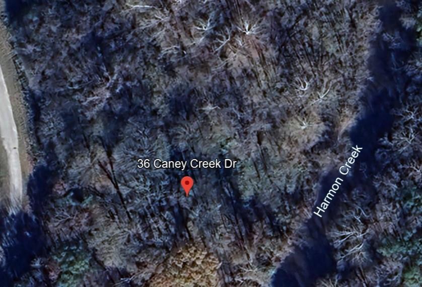 Aerial view of wooded 36 Caney Creek Drive beside Harmon Creek.