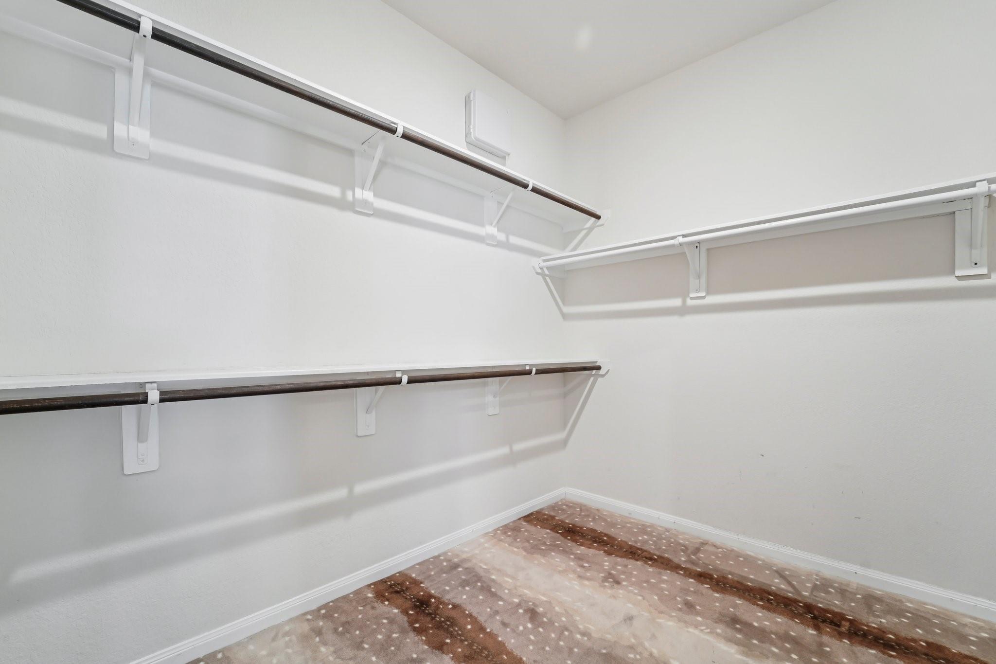 4542 Coues Deer Lane