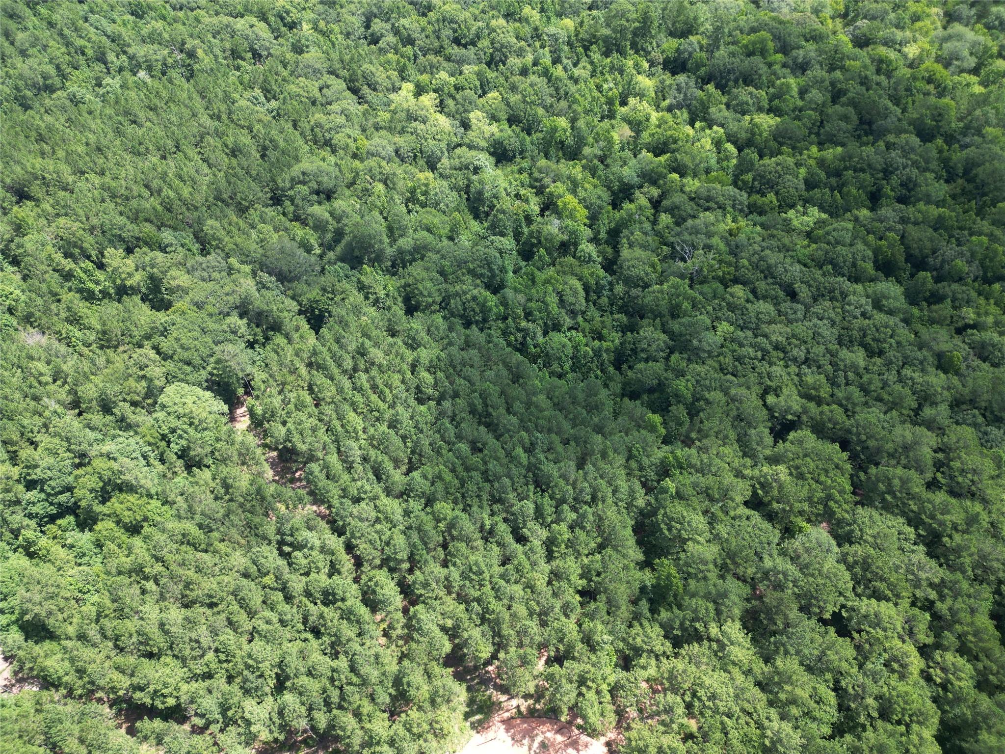 34 Caney Creek Drive