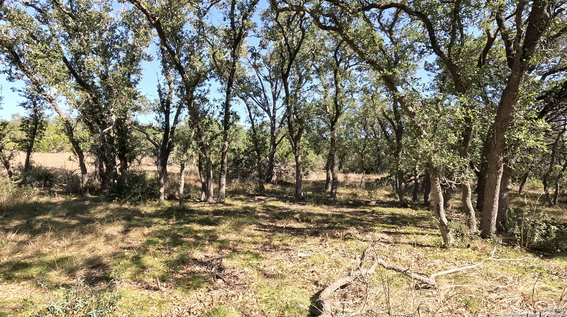 34672 Ansley Ridge