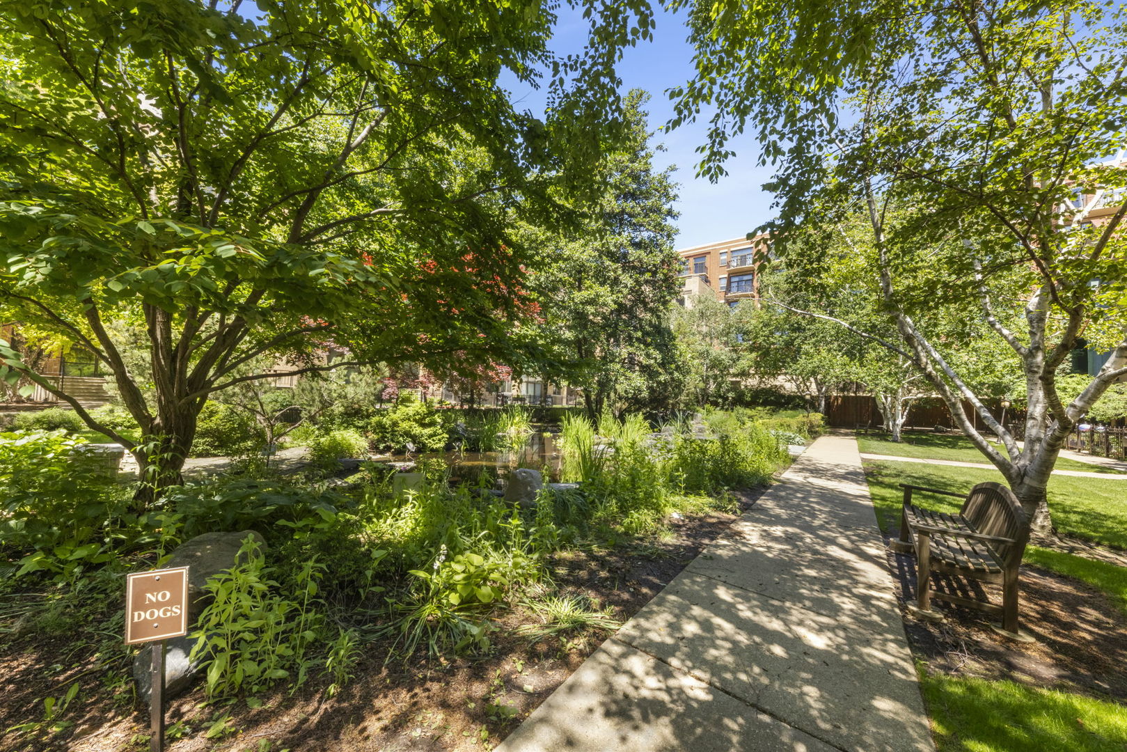 1301 W Madison Street Unit: 305