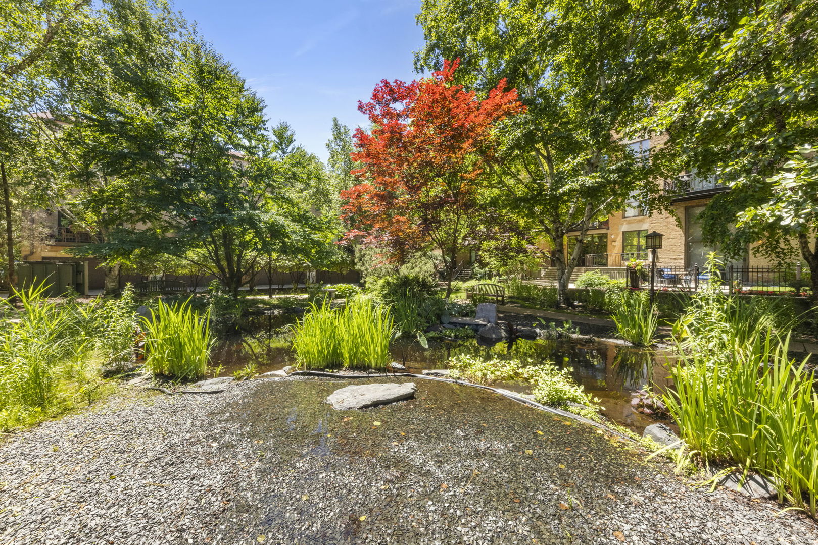 1301 W Madison Street Unit: 305