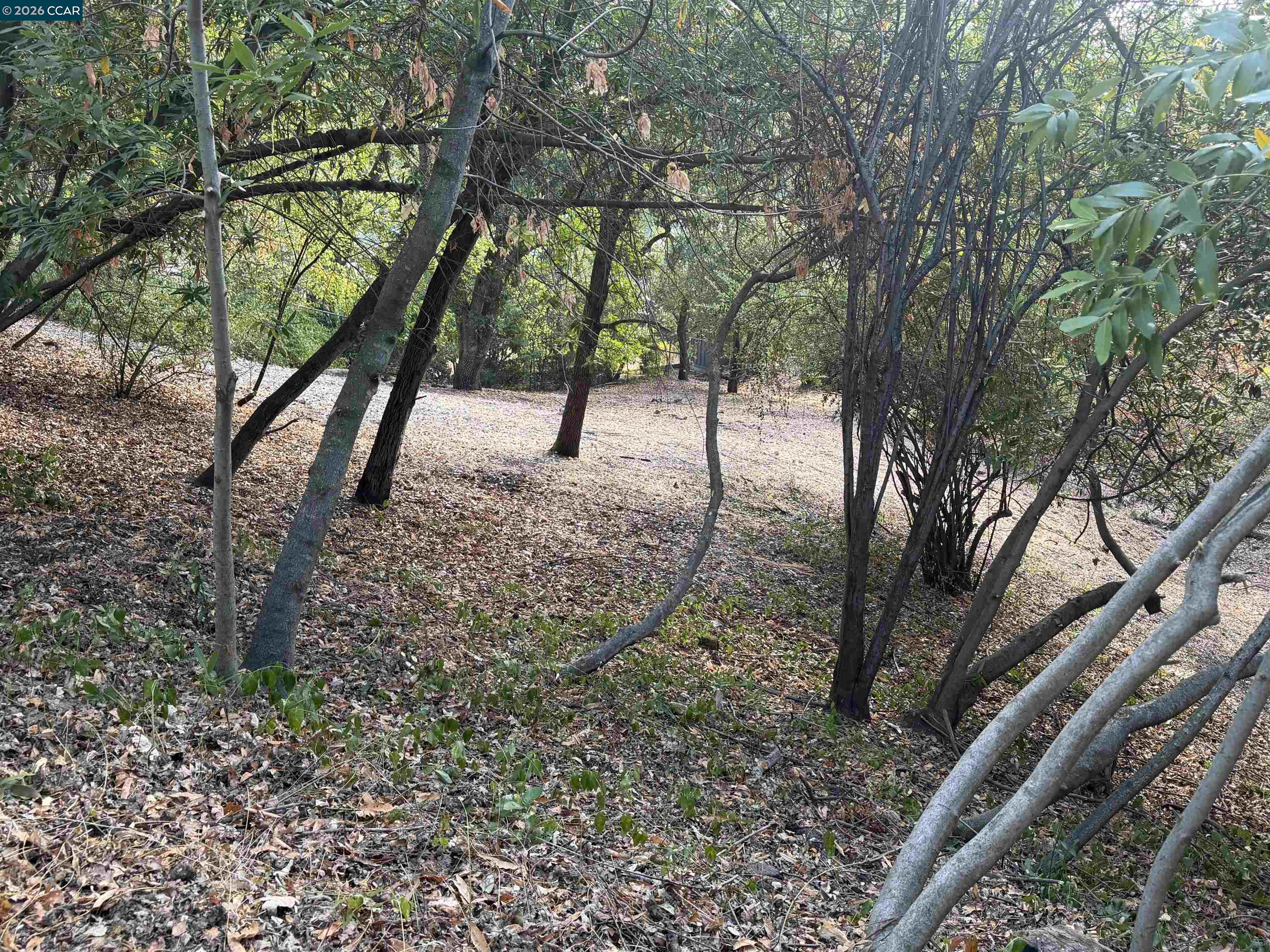 Ridge Road