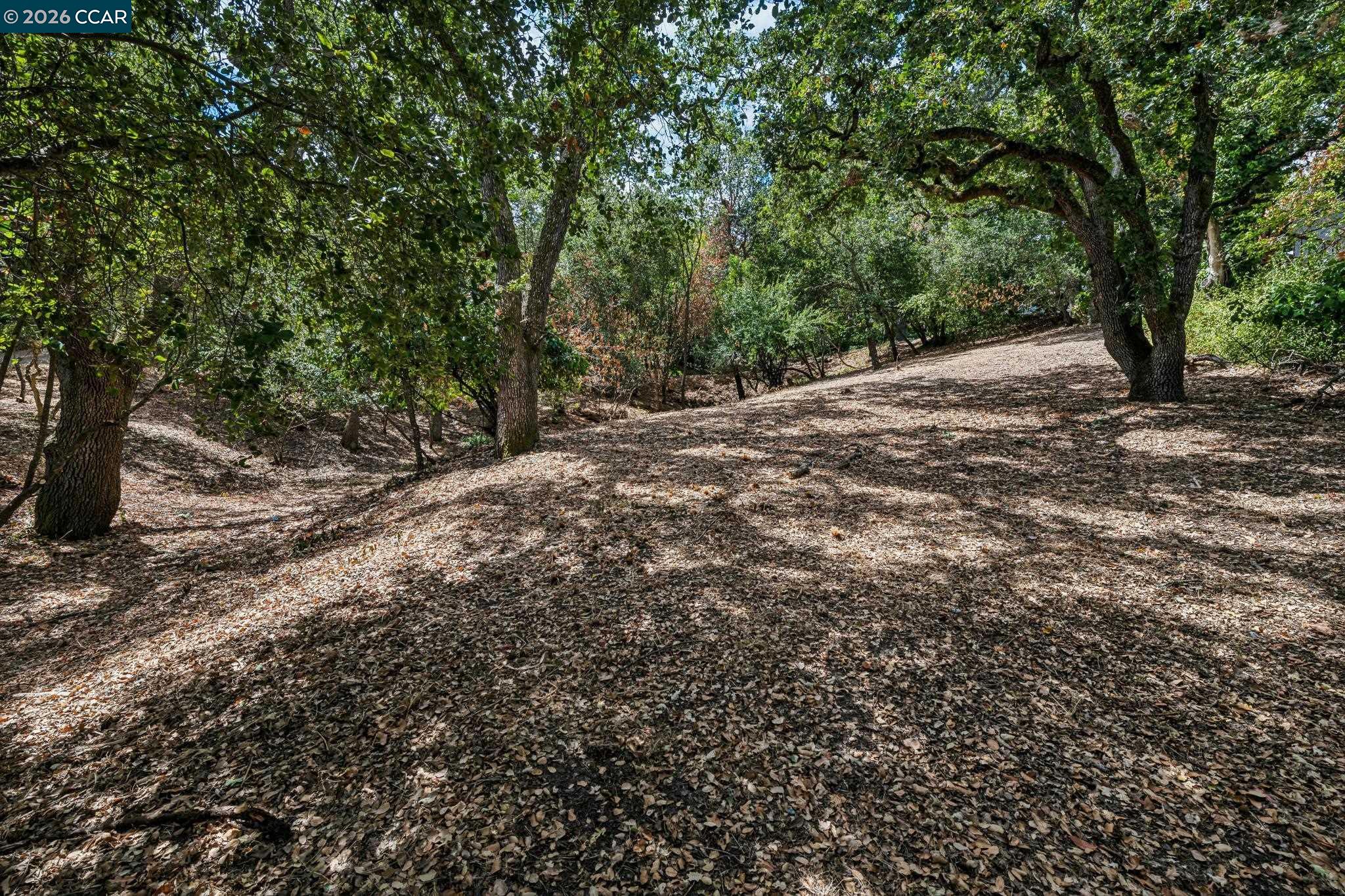 Ridge Road
