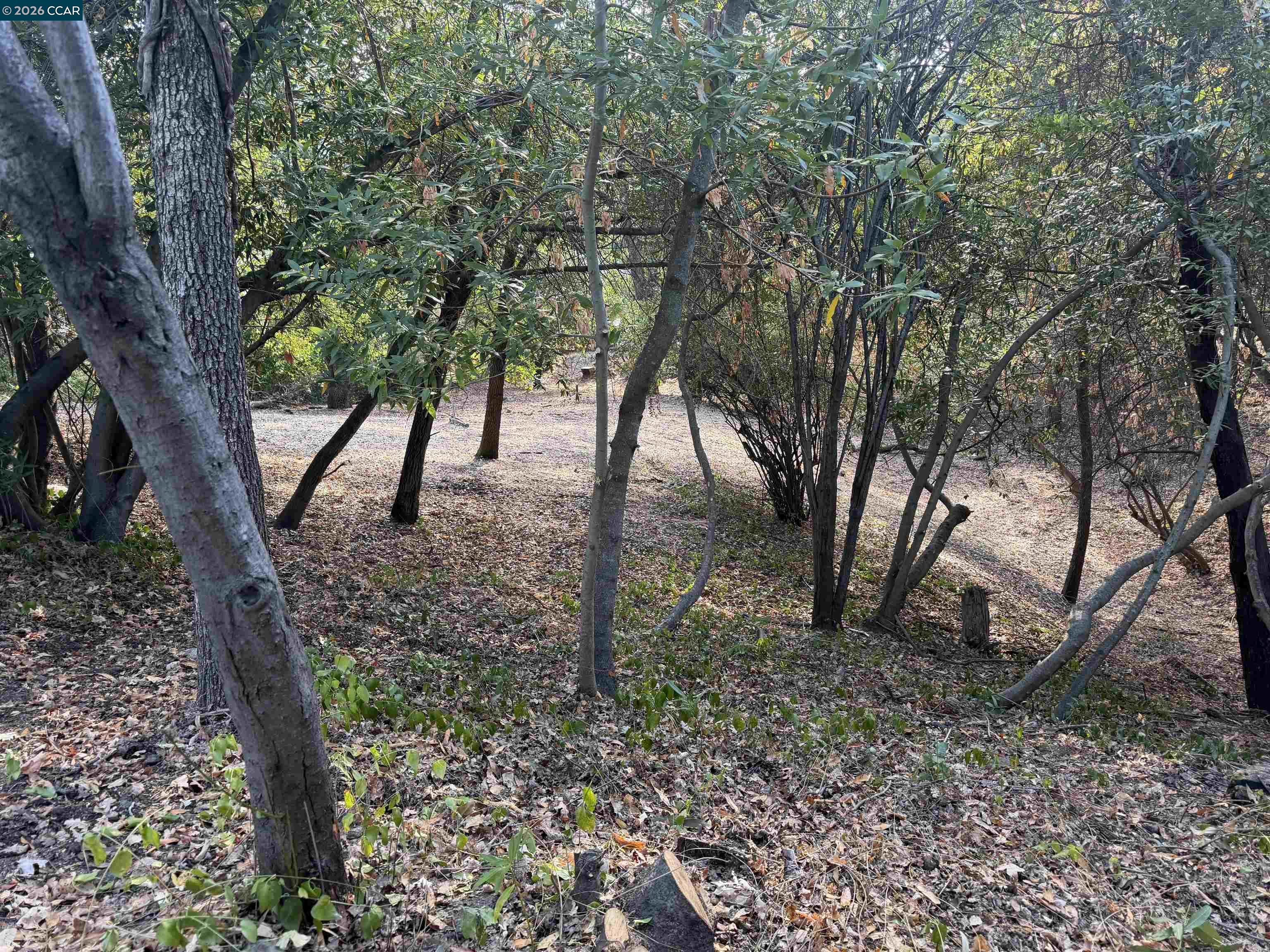 Ridge Road