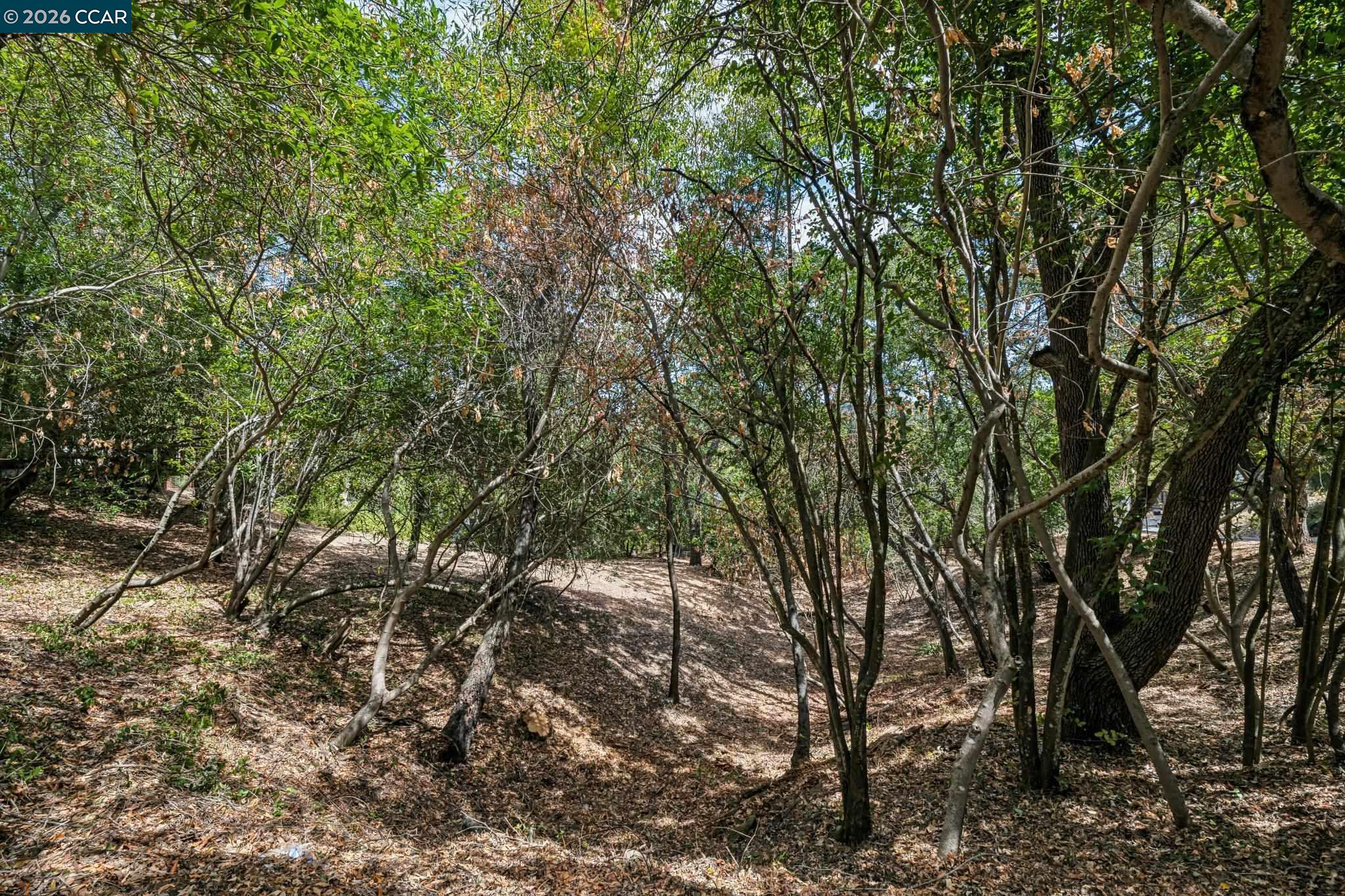 Ridge Road