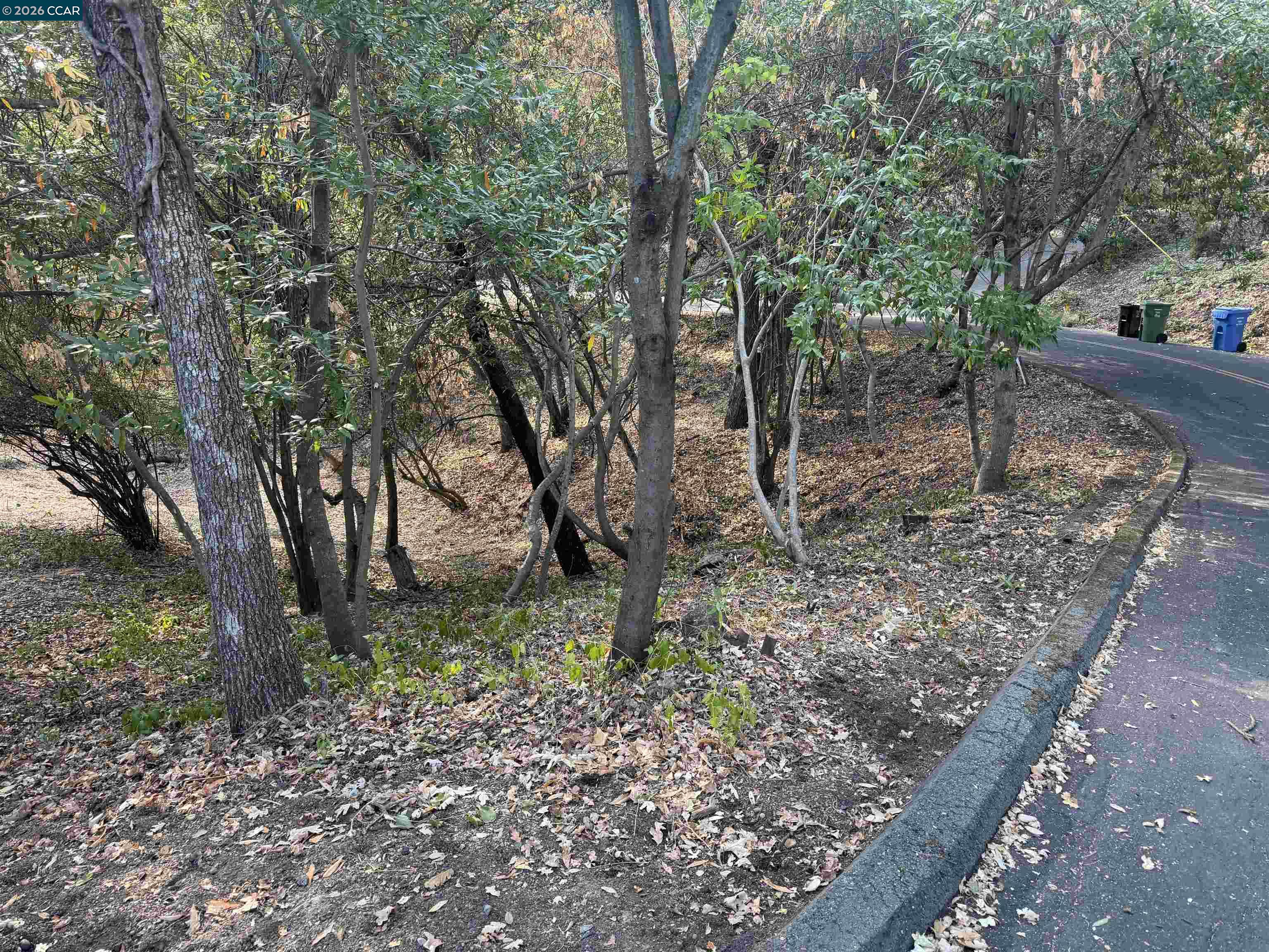 Ridge Road