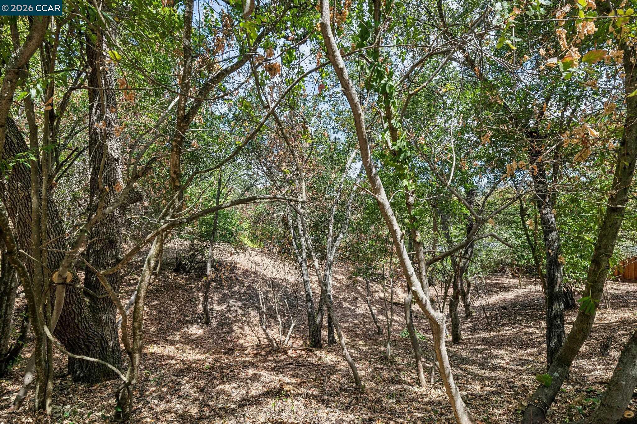 Ridge Road