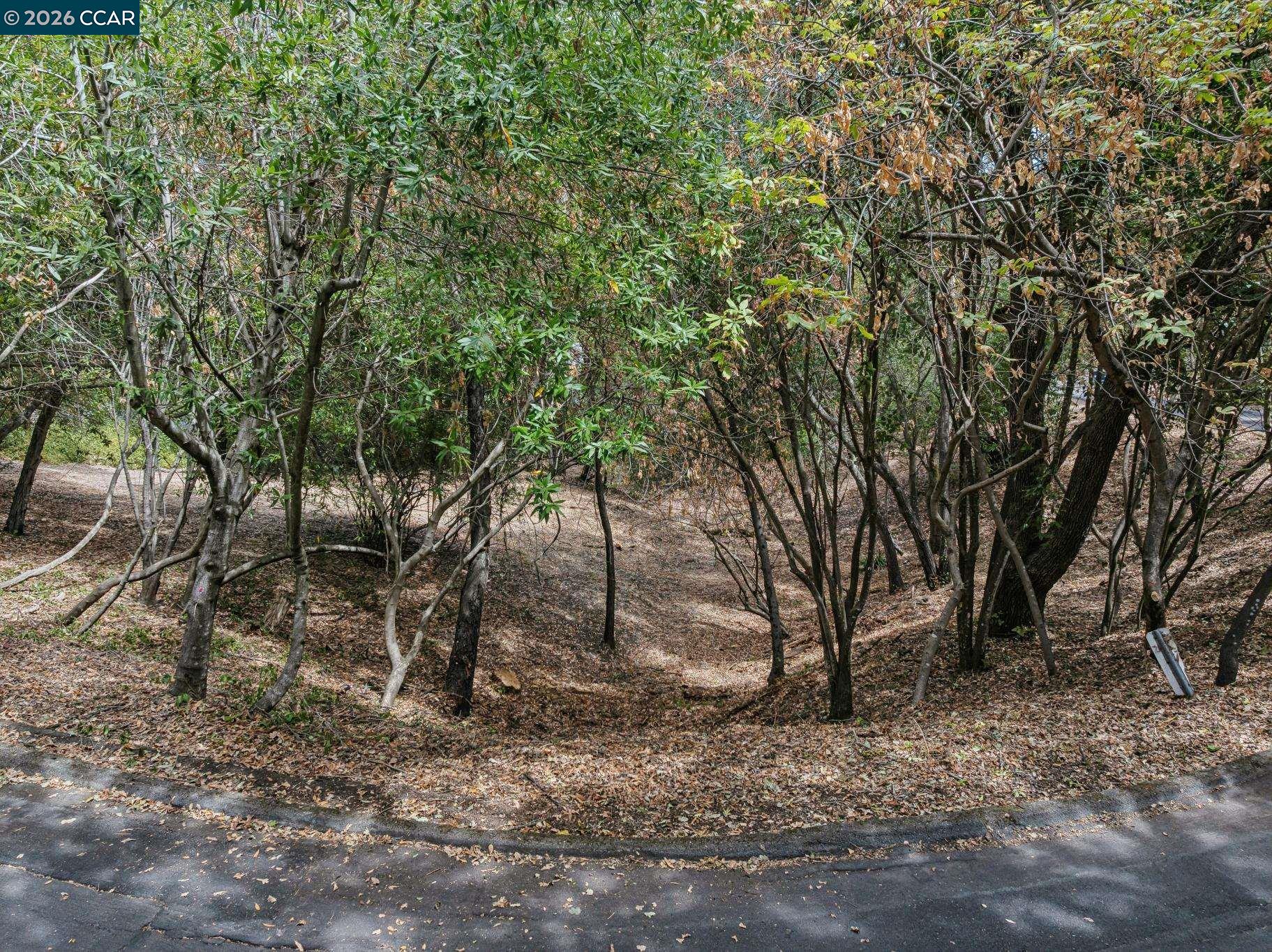 Ridge Road