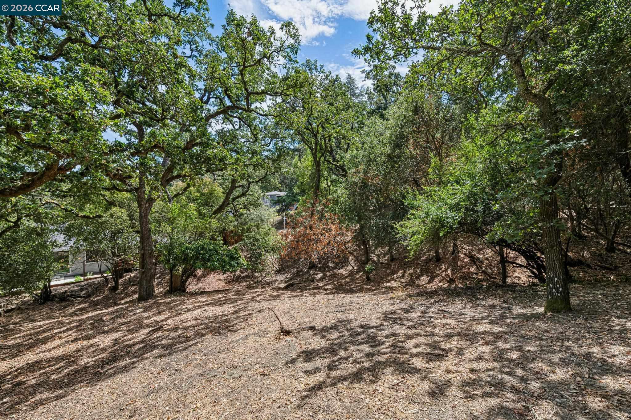 Ridge Road