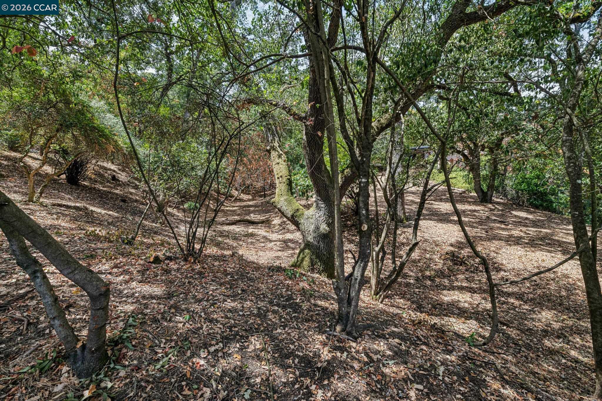 Ridge Road