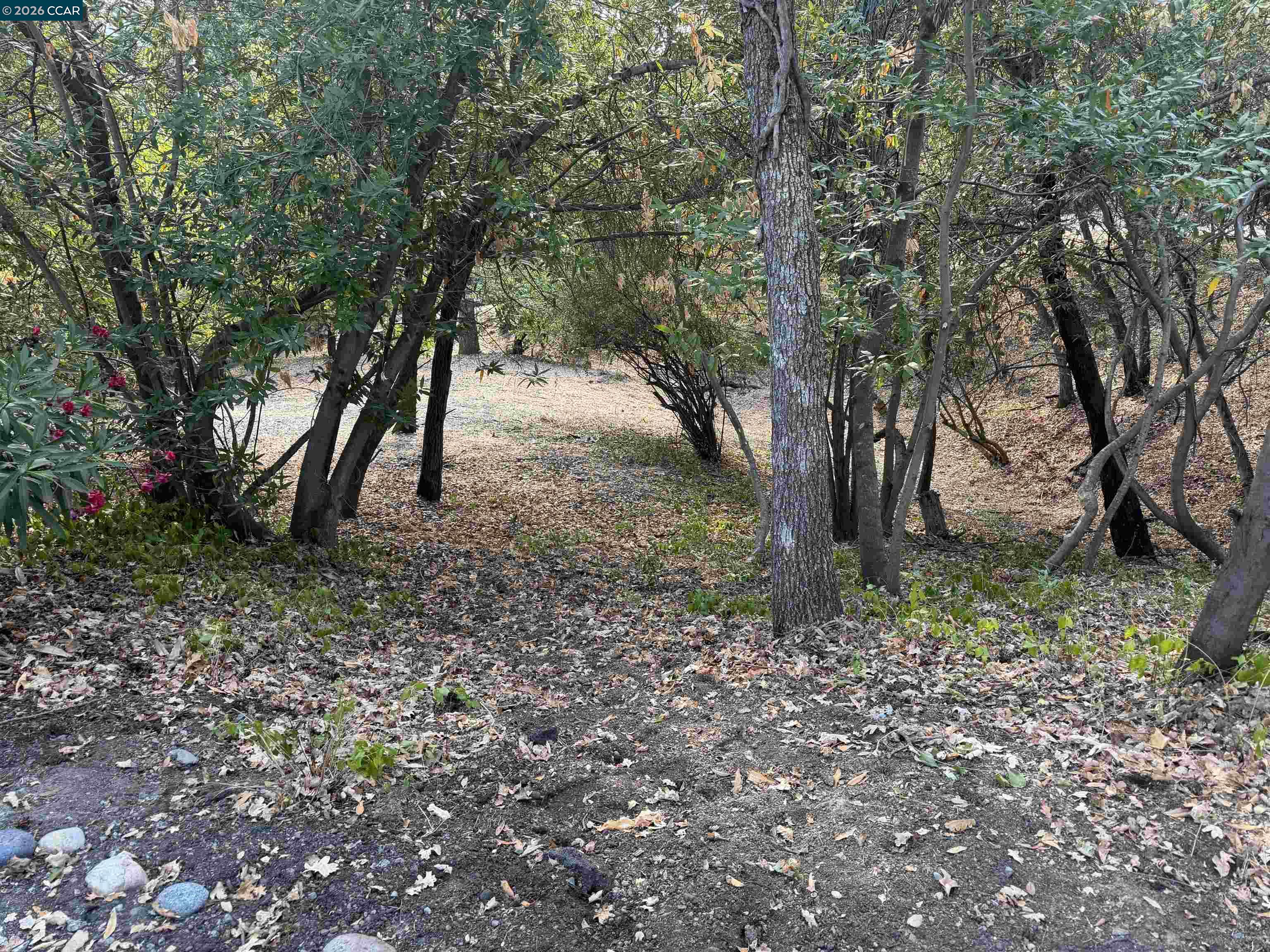 Ridge Road