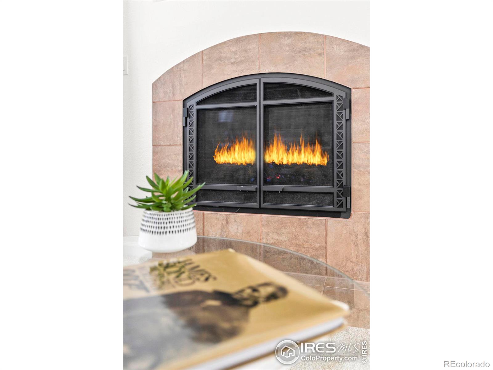 1333 Charles Drive Unit: 2