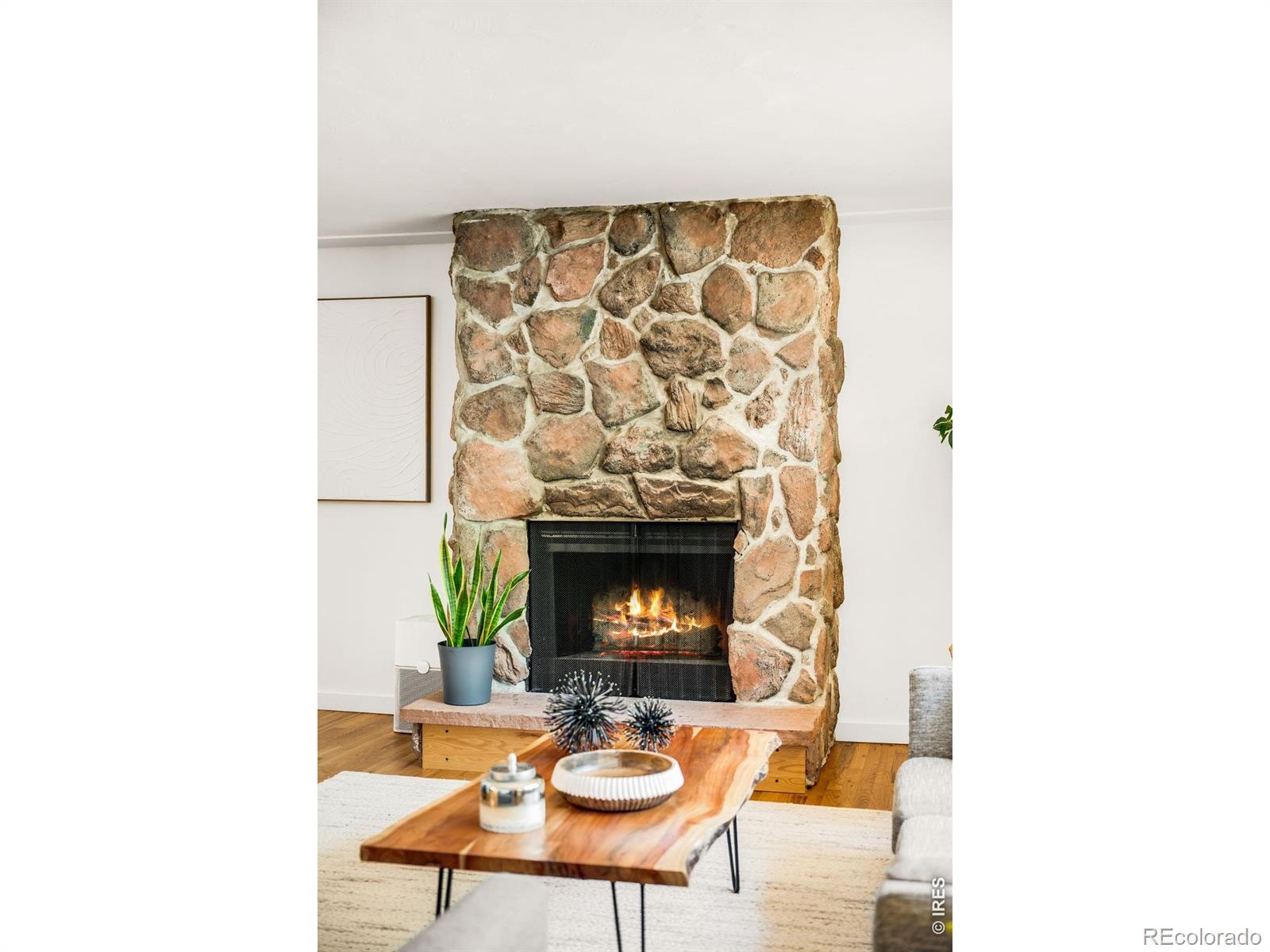 1417 Sharpe Place