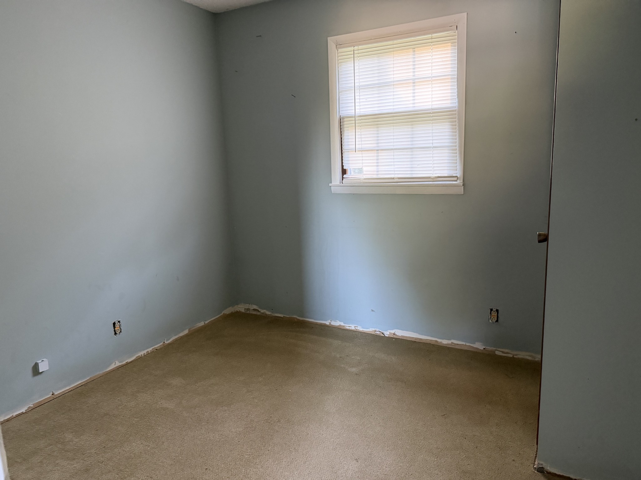 Vacant room with beige carpet, blue-gray walls, and a window with white blinds.