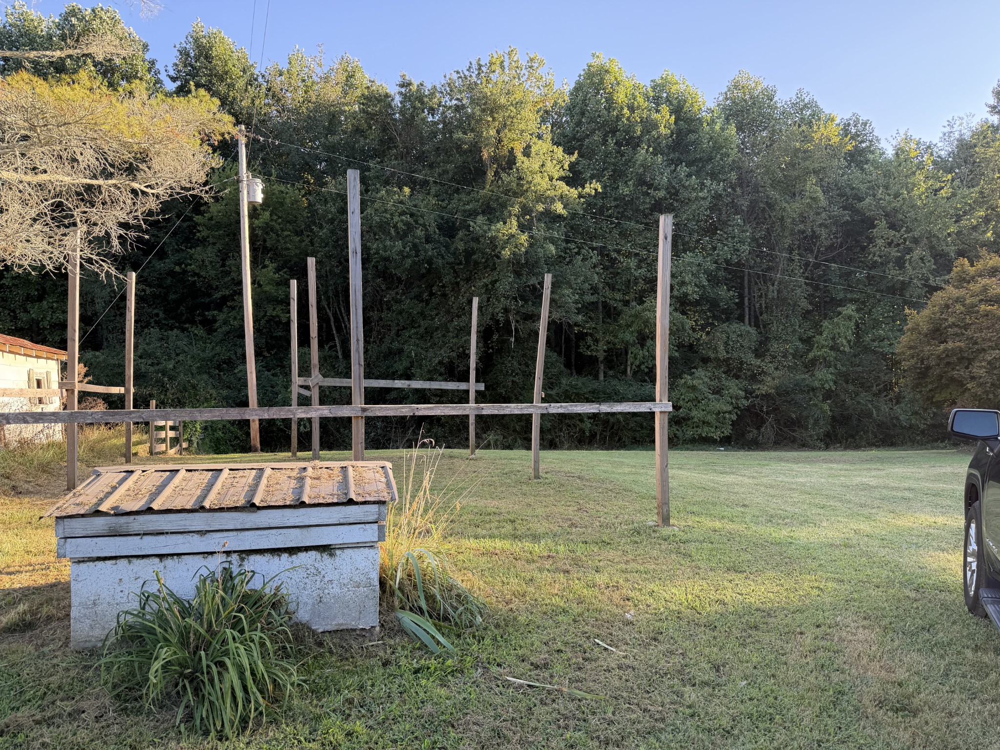 Grassy yard bordered by dense trees, with a timber framework and low covered structure.