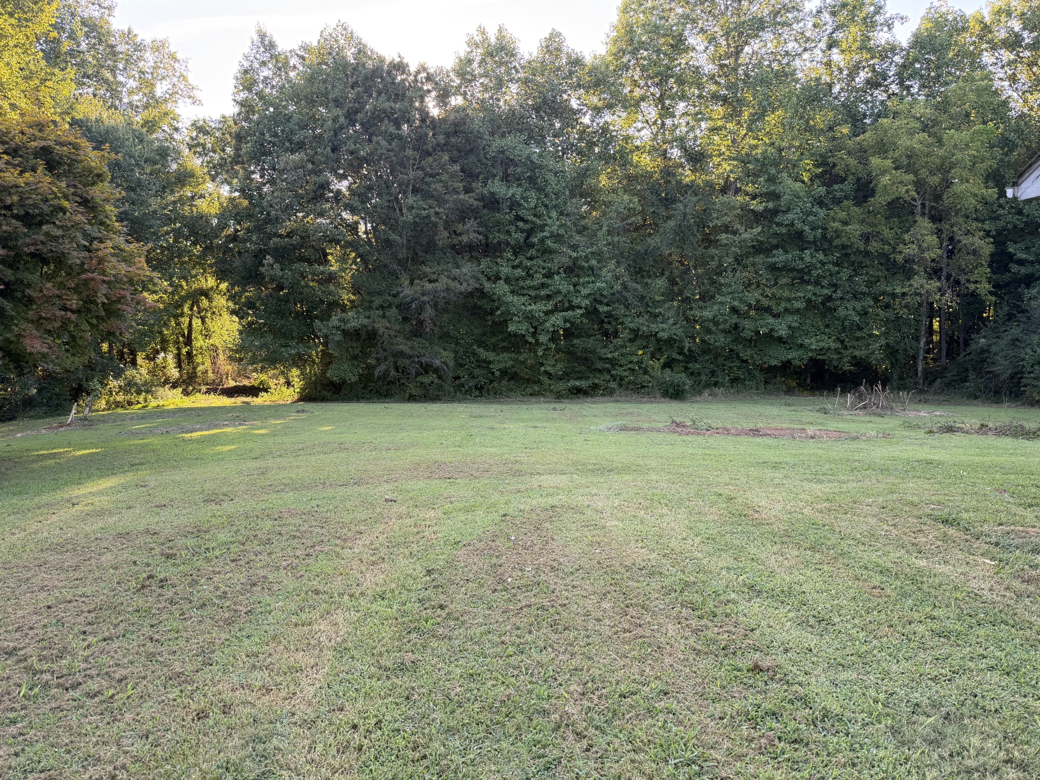 Grassy clearing bordered by dense trees, with part of a building visible at the right edge.
