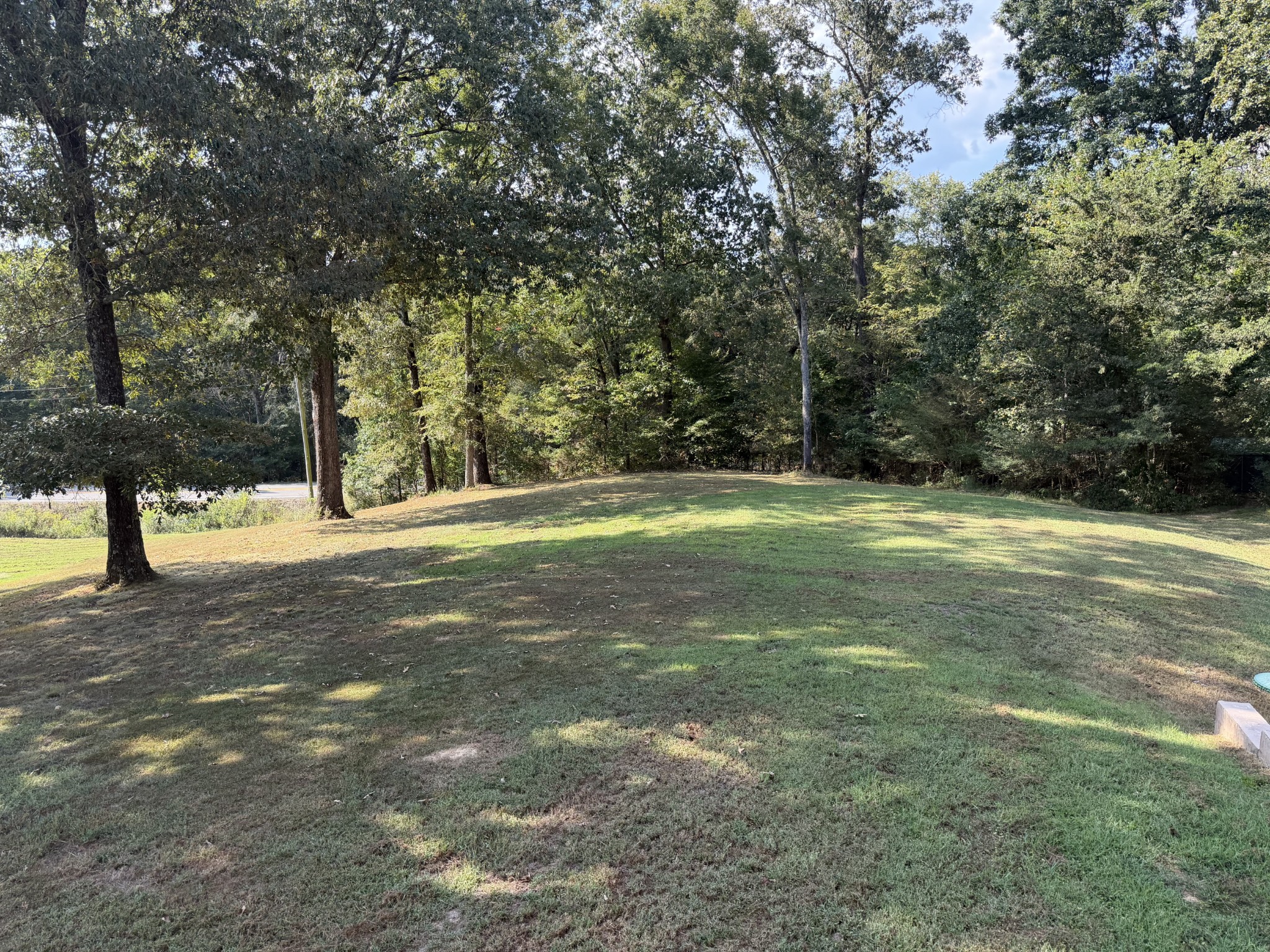 Grassy lot bordered by mature trees, with a road visible through the woods.