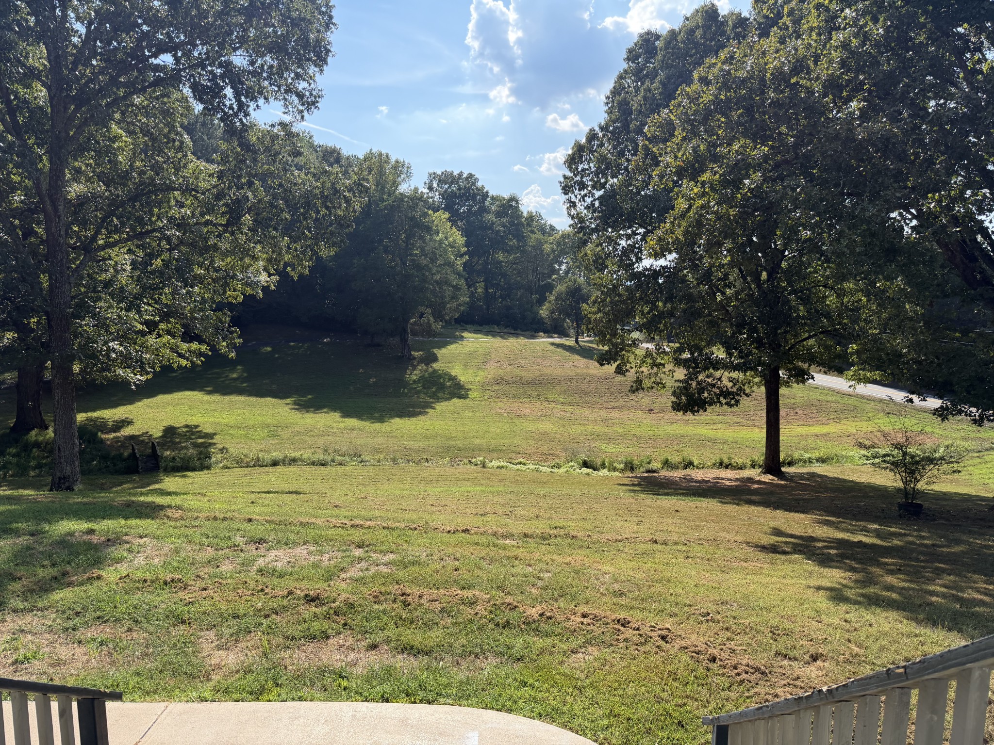 Tree-lined grassy property with a road along its edge, viewed from steps.