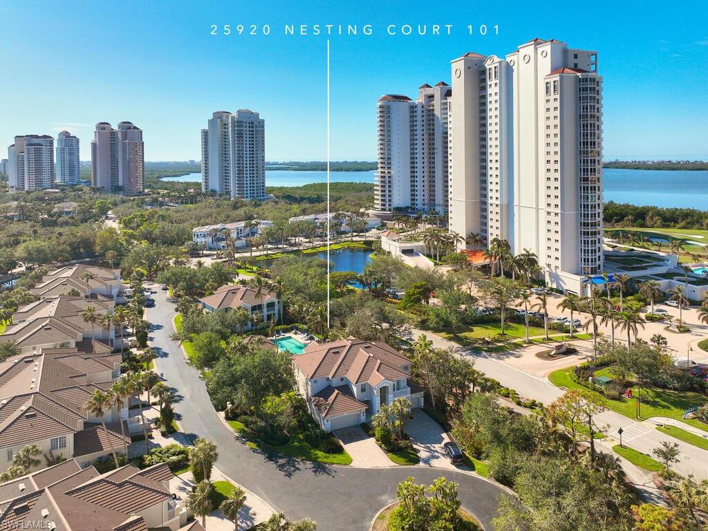 25920 Nesting CT # 101