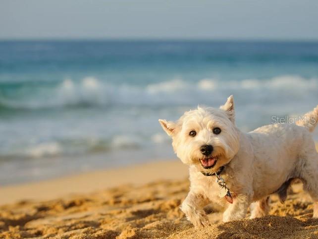 2220 ELEGANT MANOR CIR