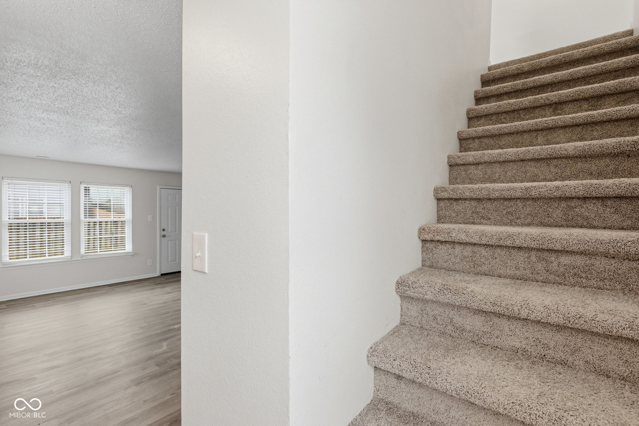 2433 Black Antler Court