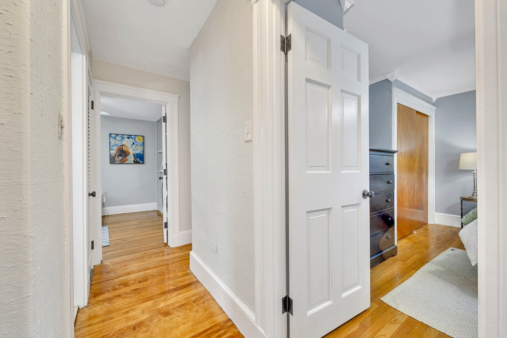 98 Haseltine St