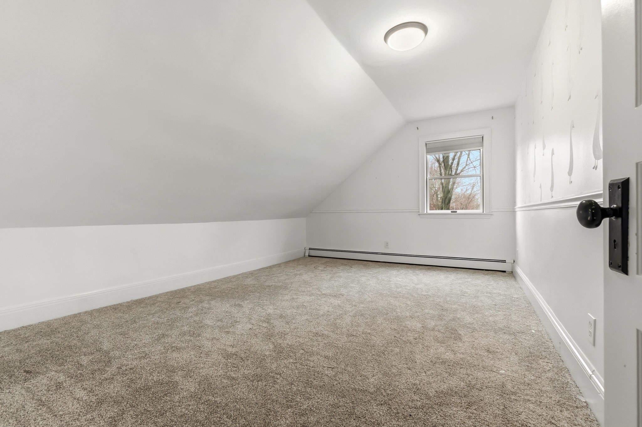54 Rabbit Rd