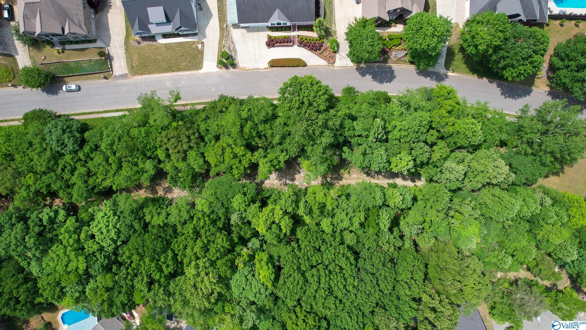 3029 Box Canyon Road