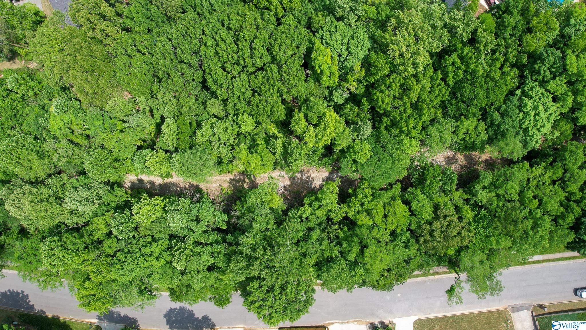 3027 Box Canyon Road