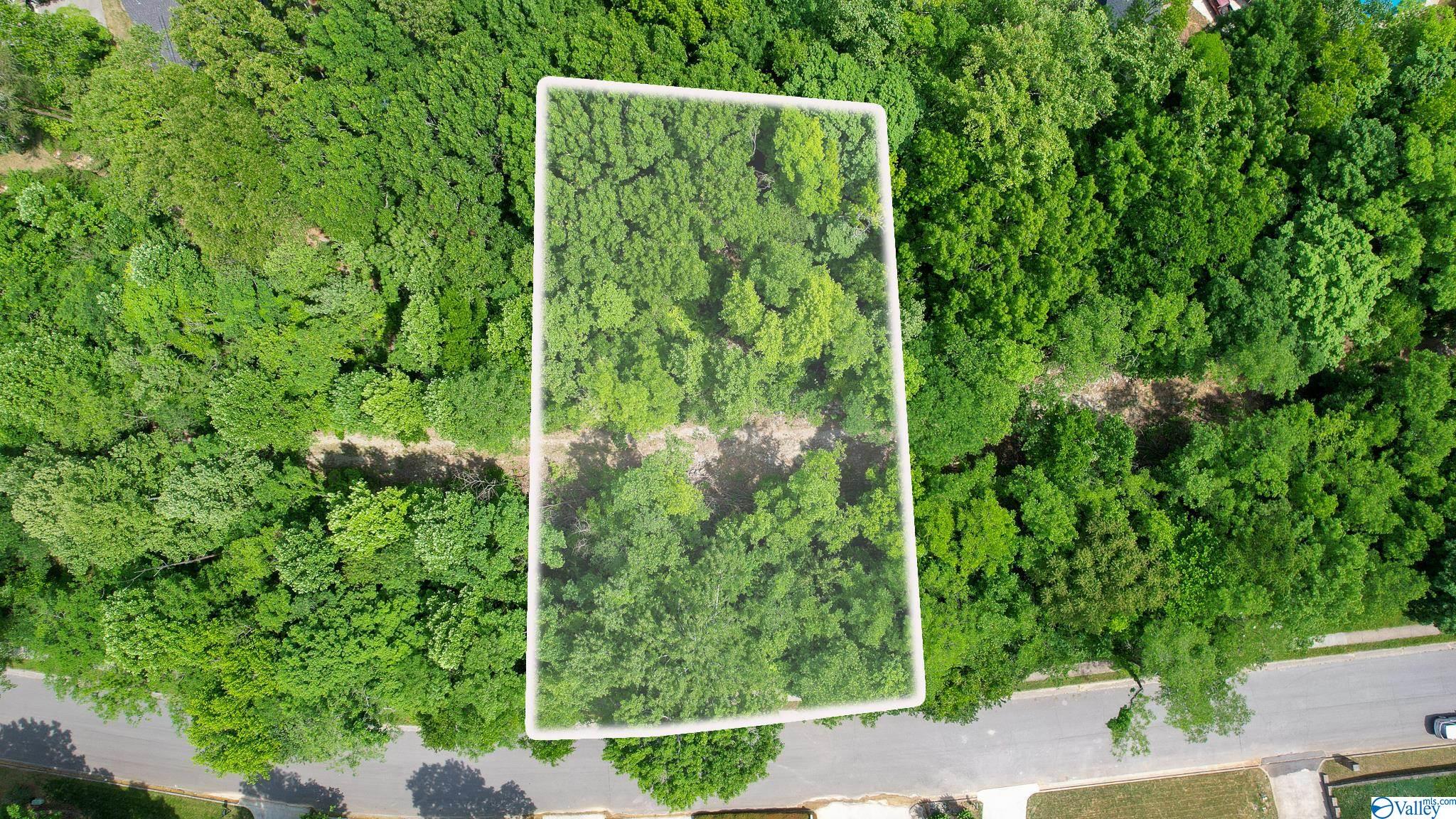 3027 Box Canyon Road