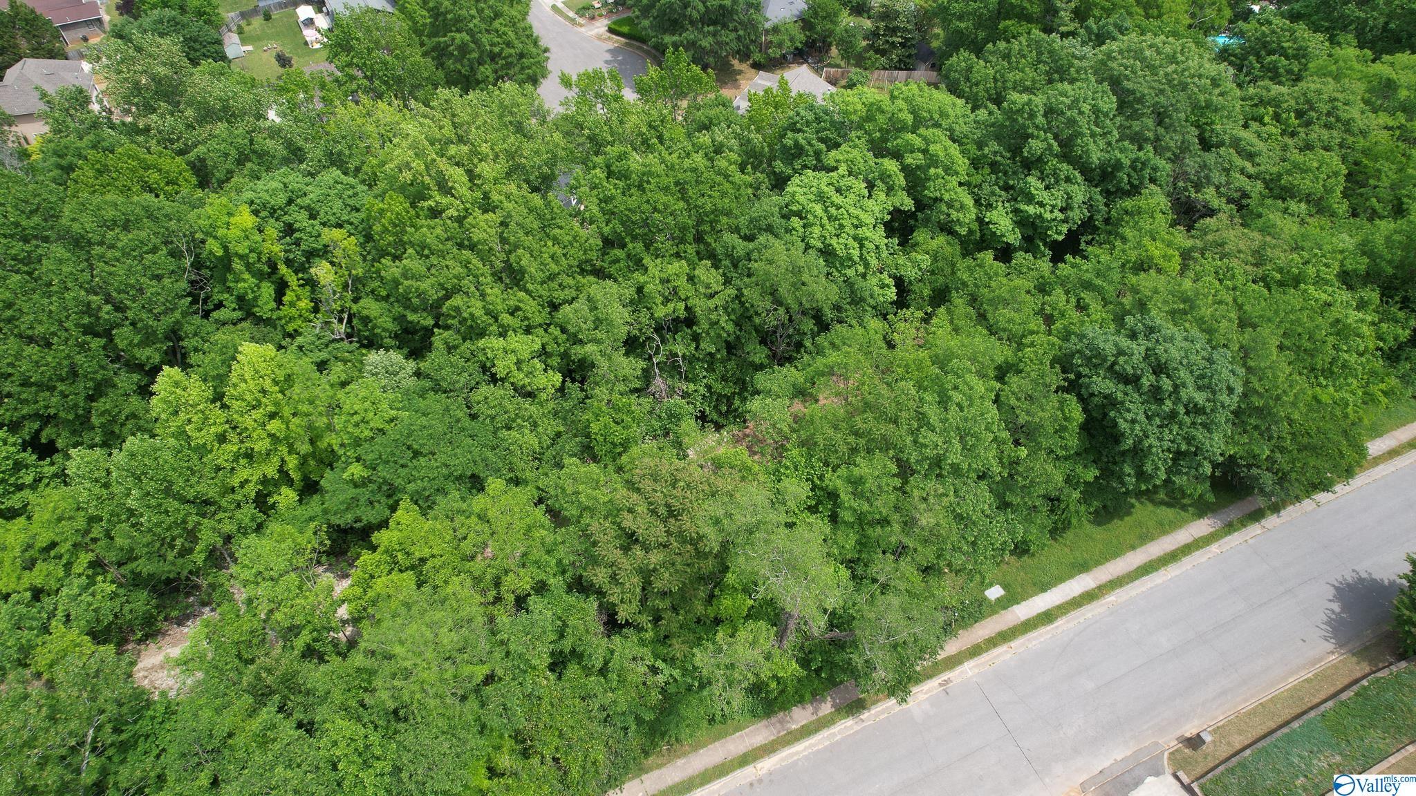 3025 Box Canyon Road