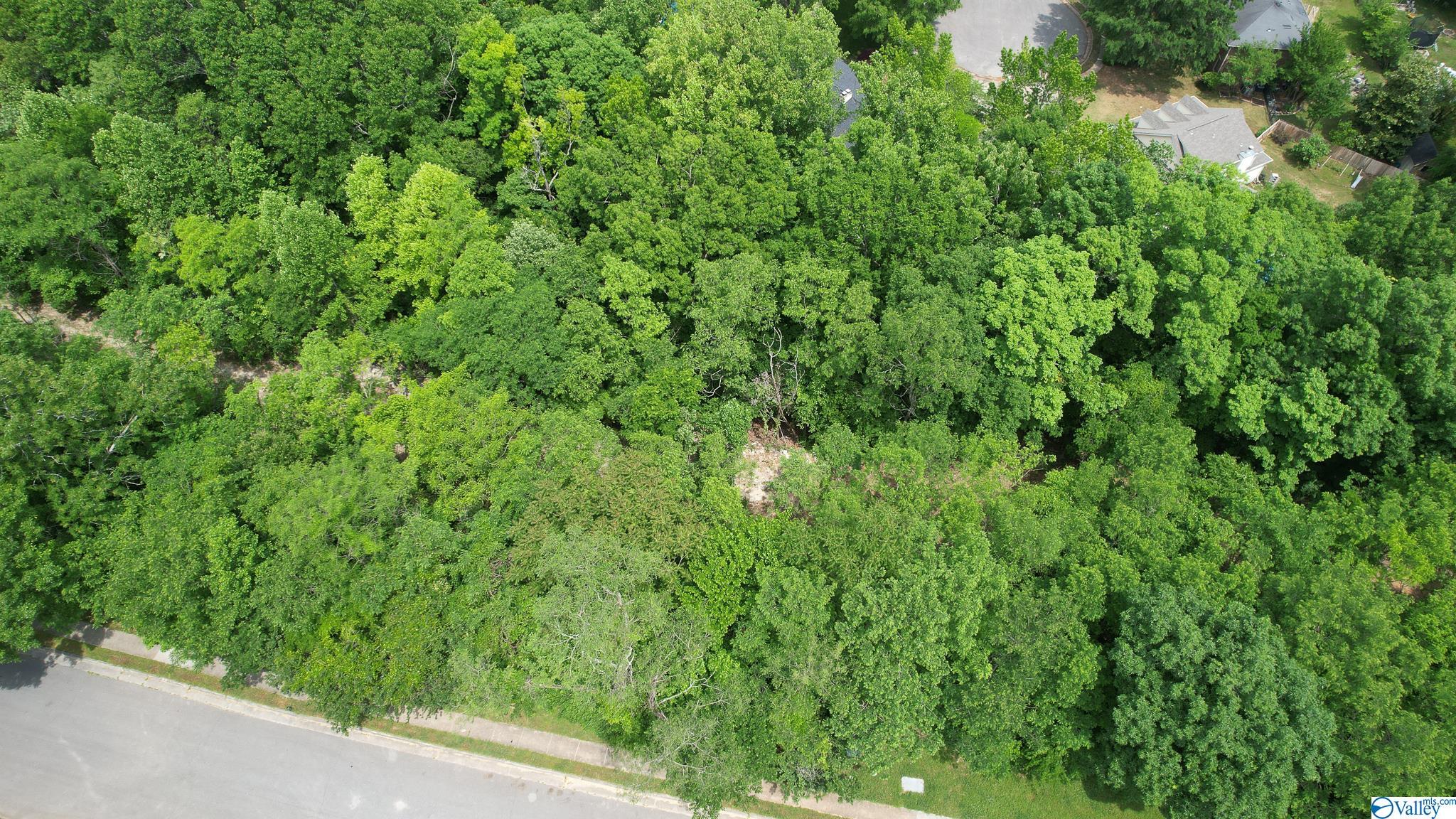 3025 Box Canyon Road