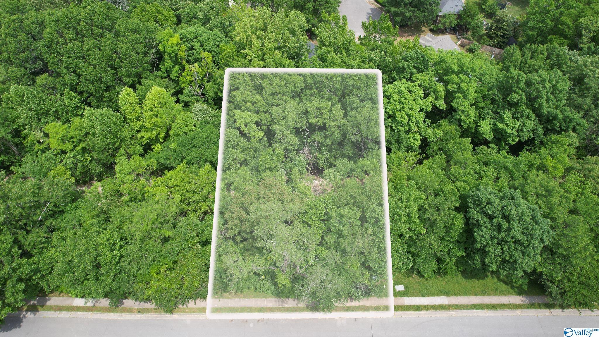 3025 Box Canyon Road