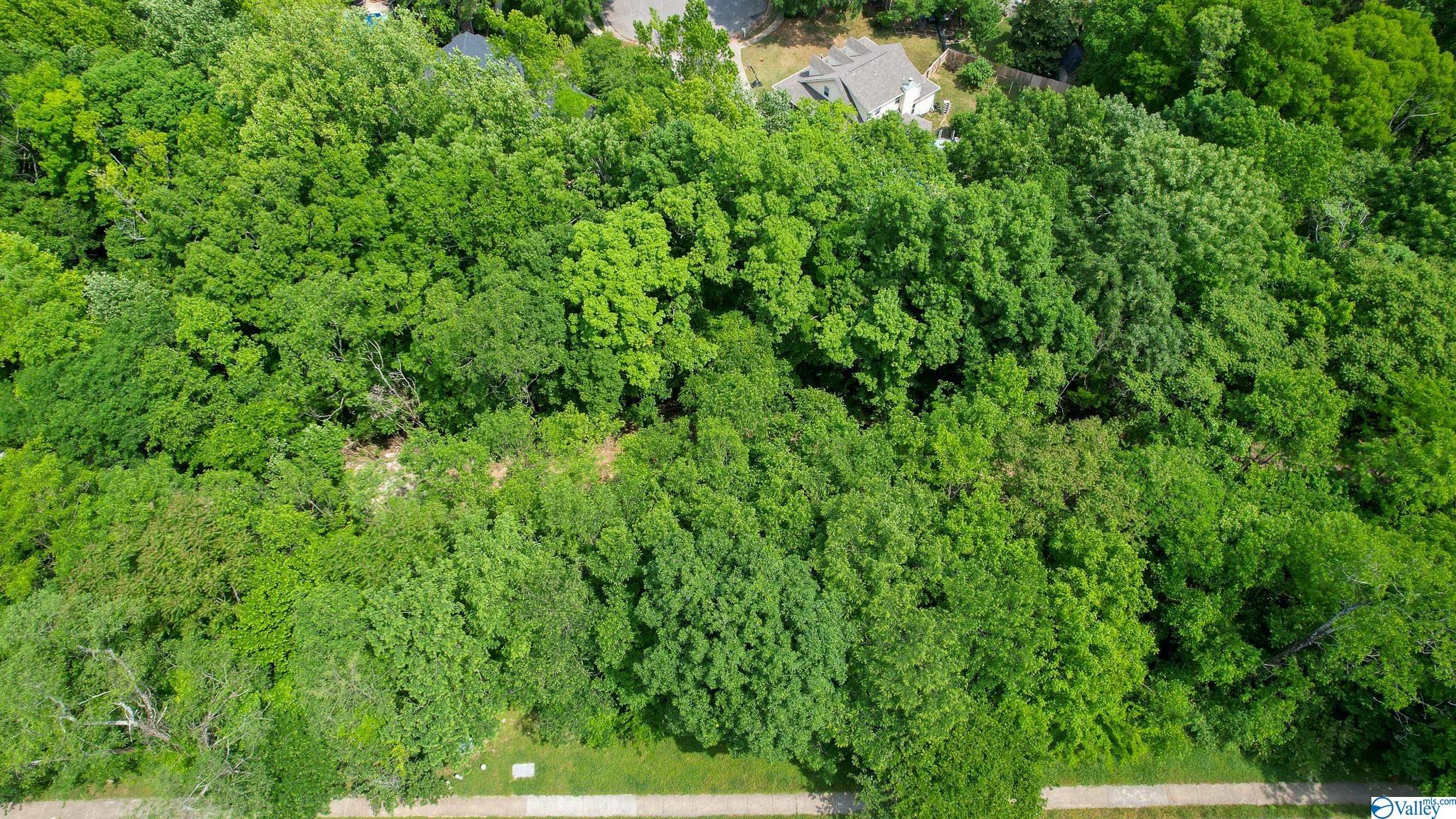 3023 Box Canyon Road