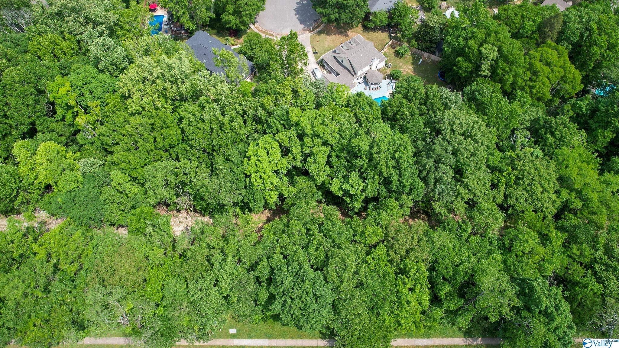 3023 Box Canyon Road