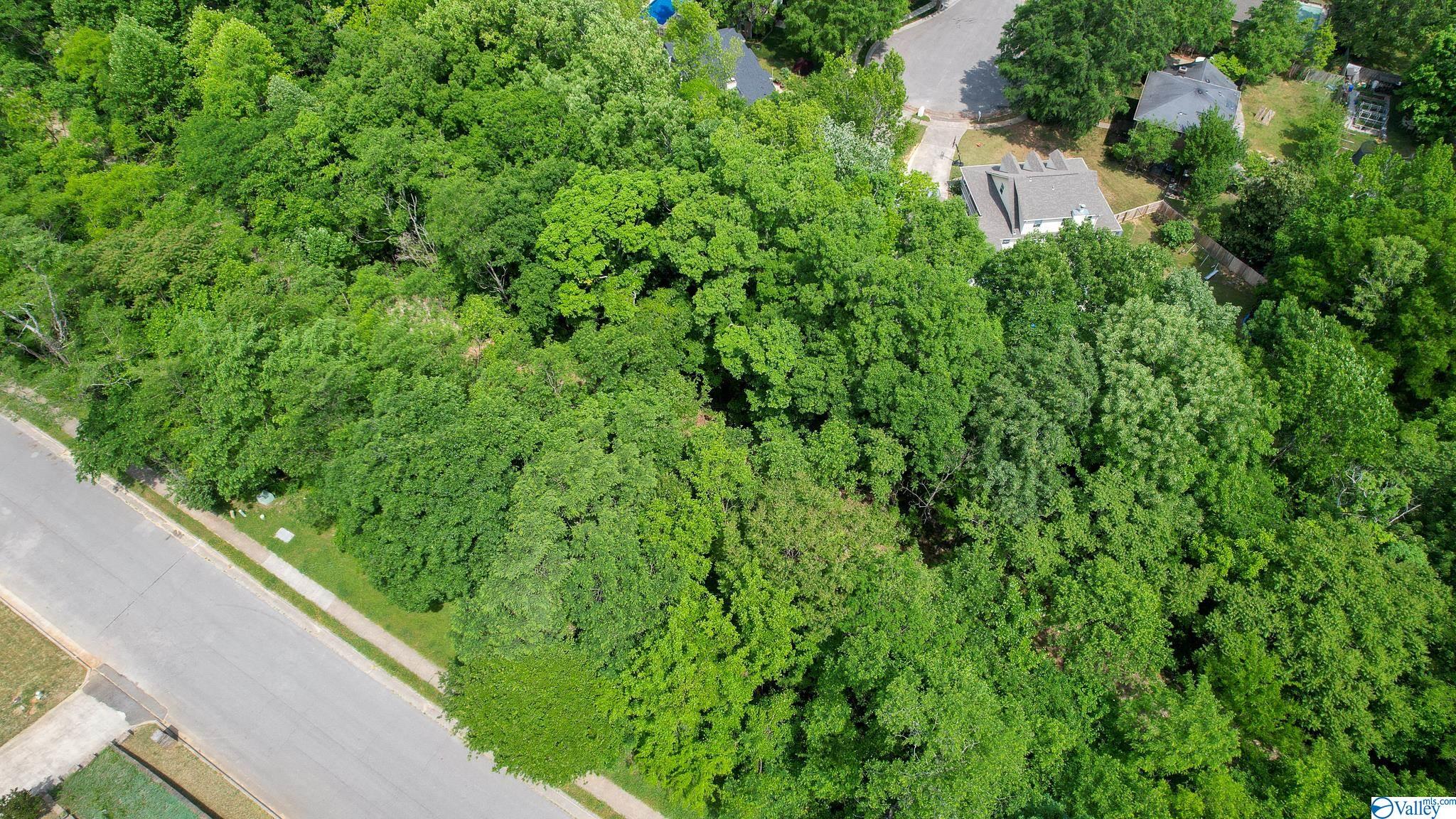 3023 Box Canyon Road