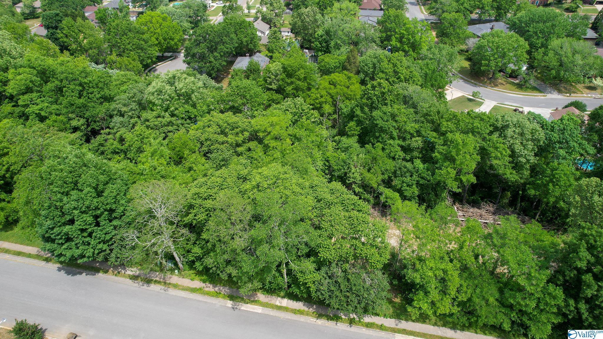 3019 Box Canyon Road