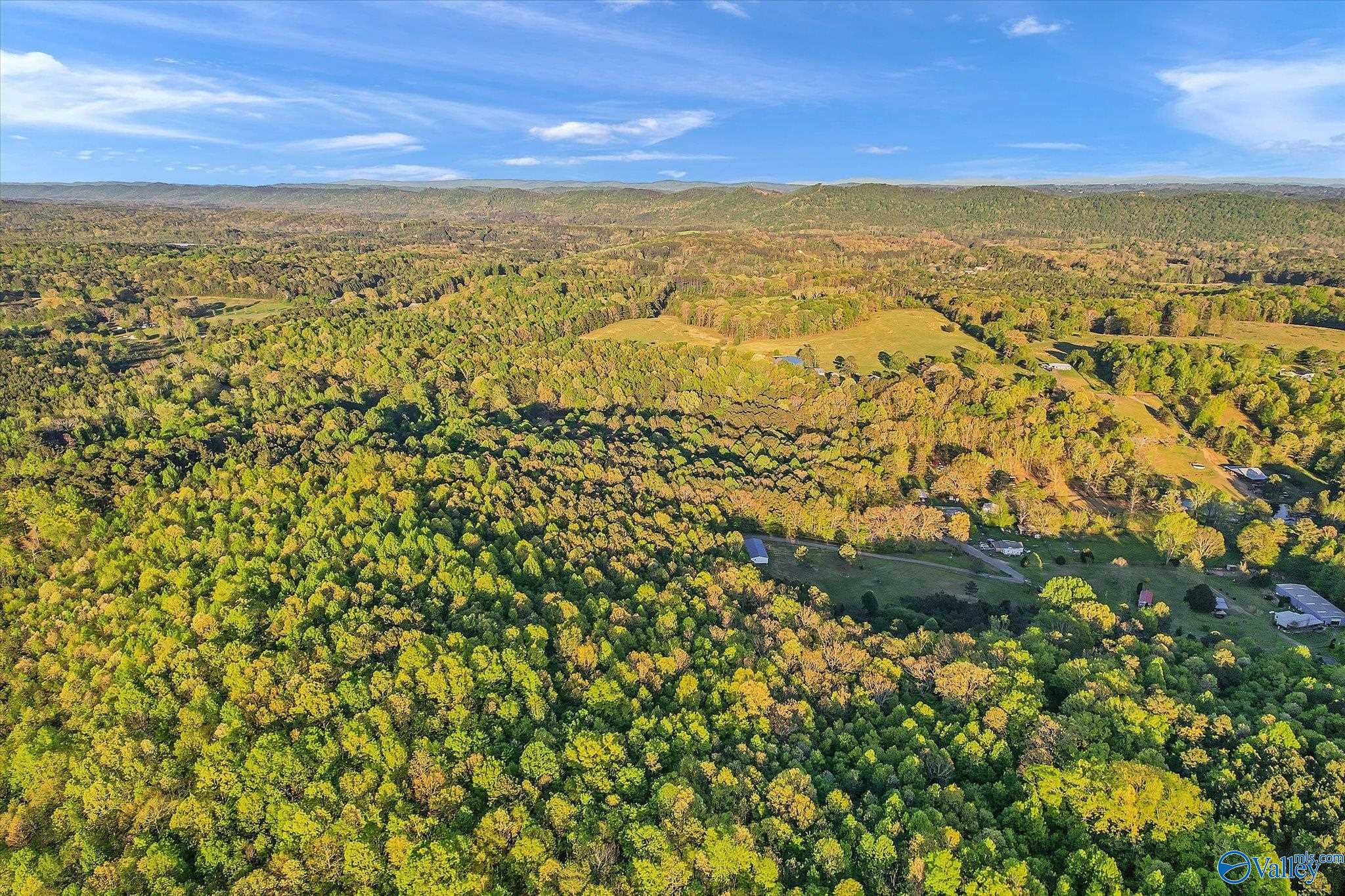 2165 Buster Willett Road