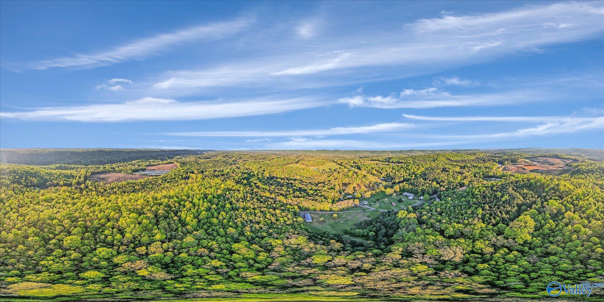 2165 Buster Willett Road