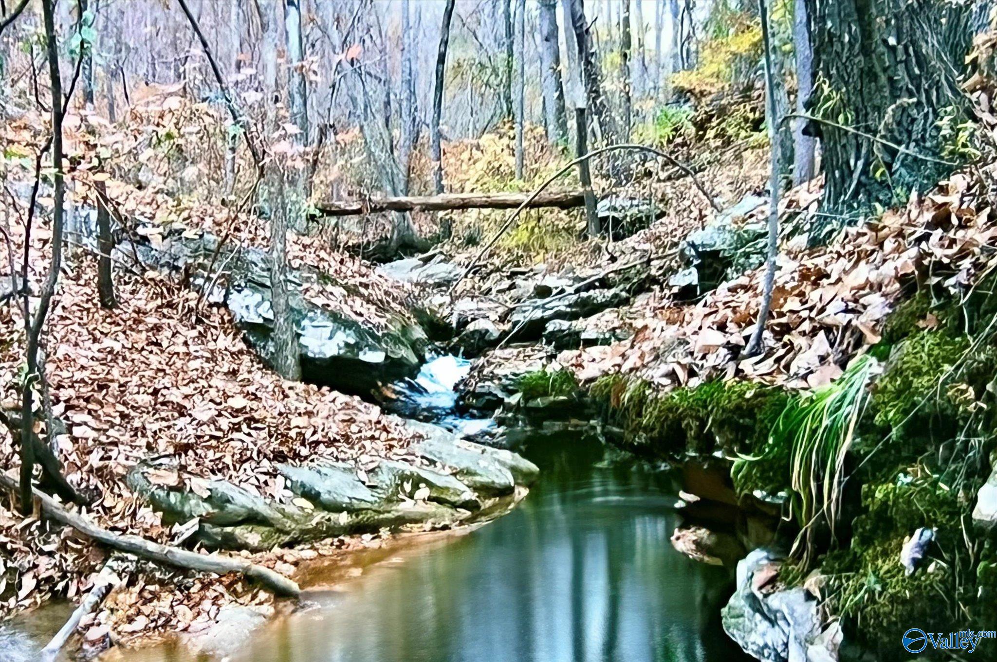 11751 US Highway 278