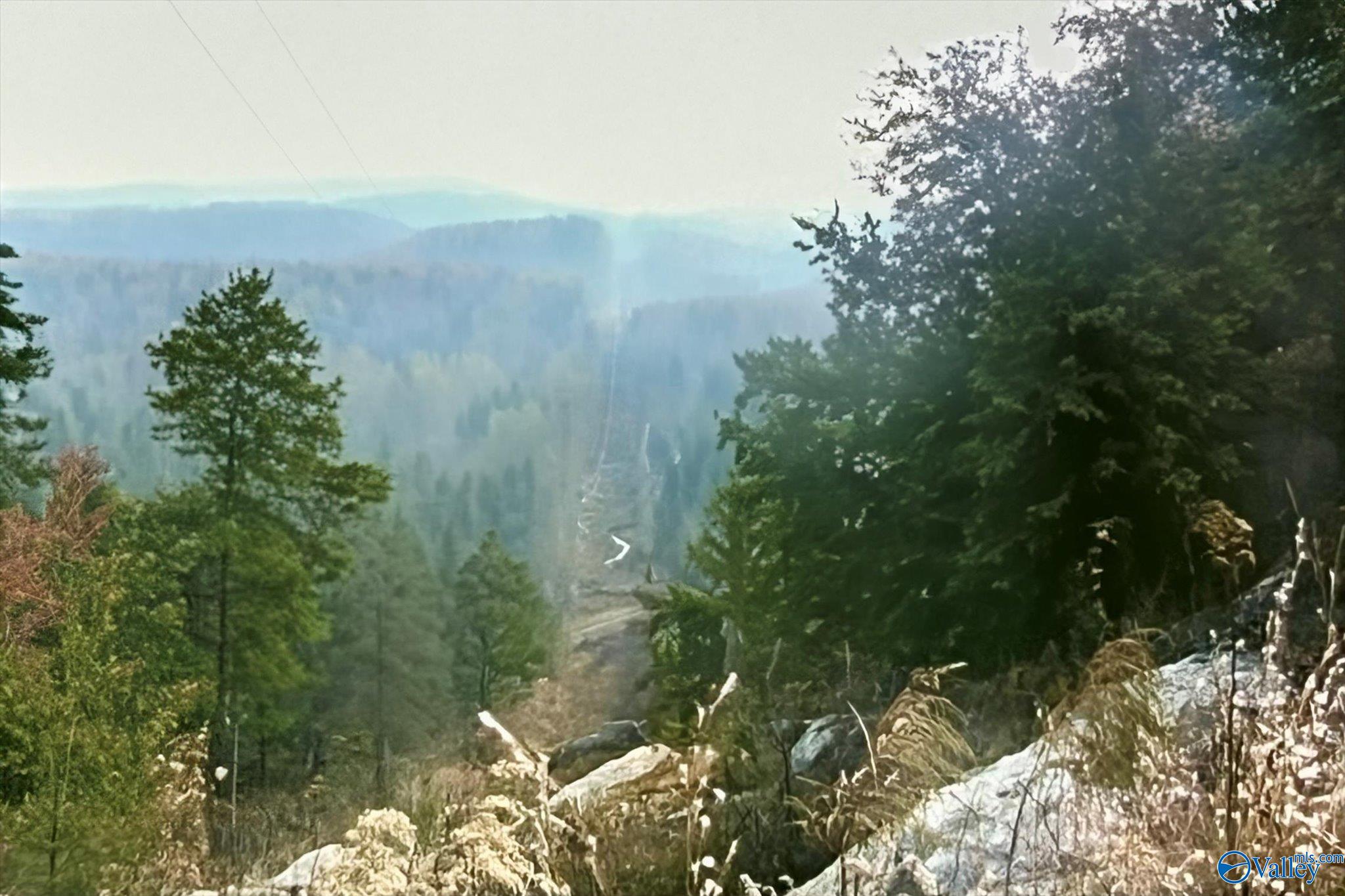 11751 US Highway 278