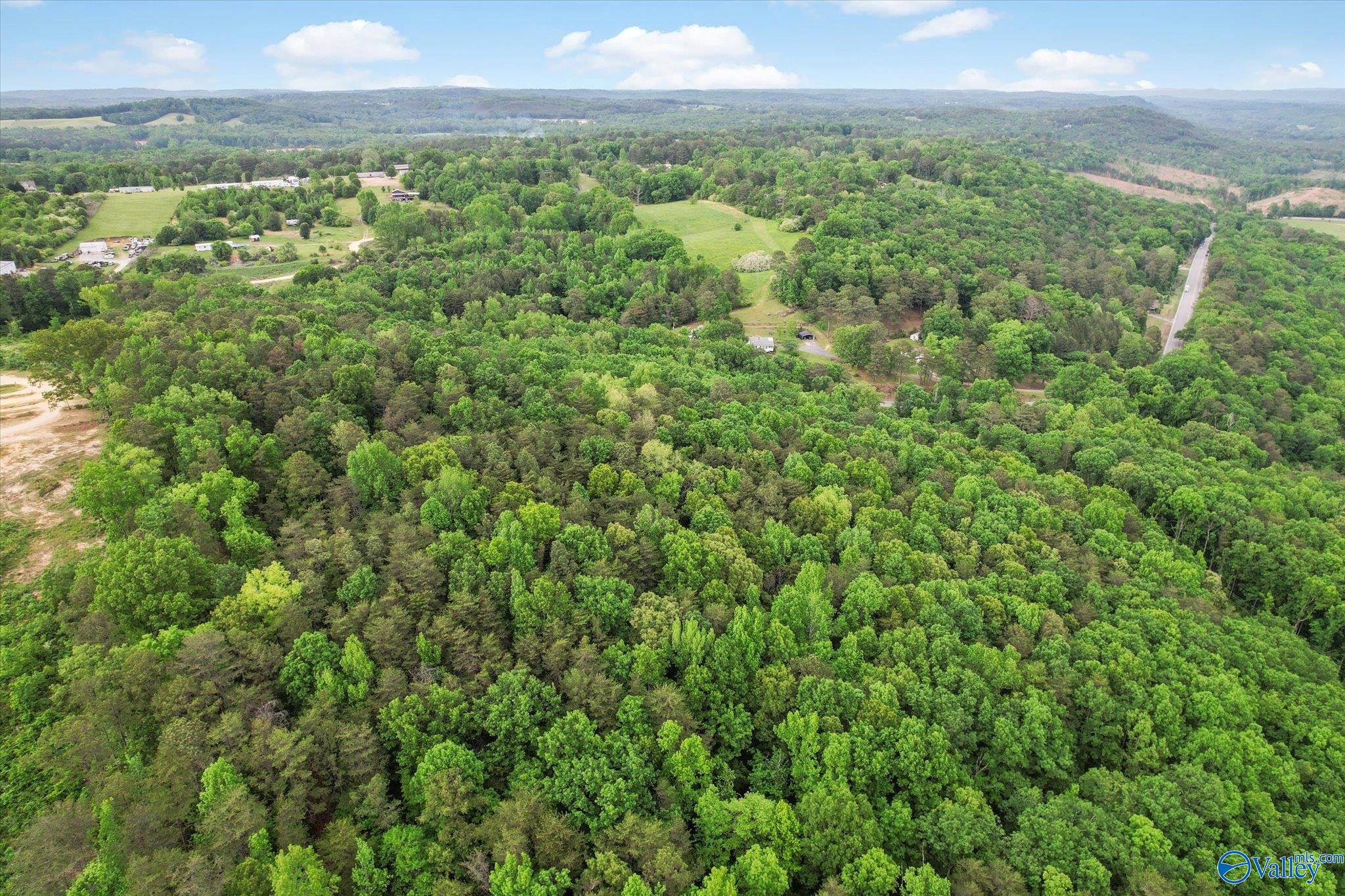 11751 US Highway 278